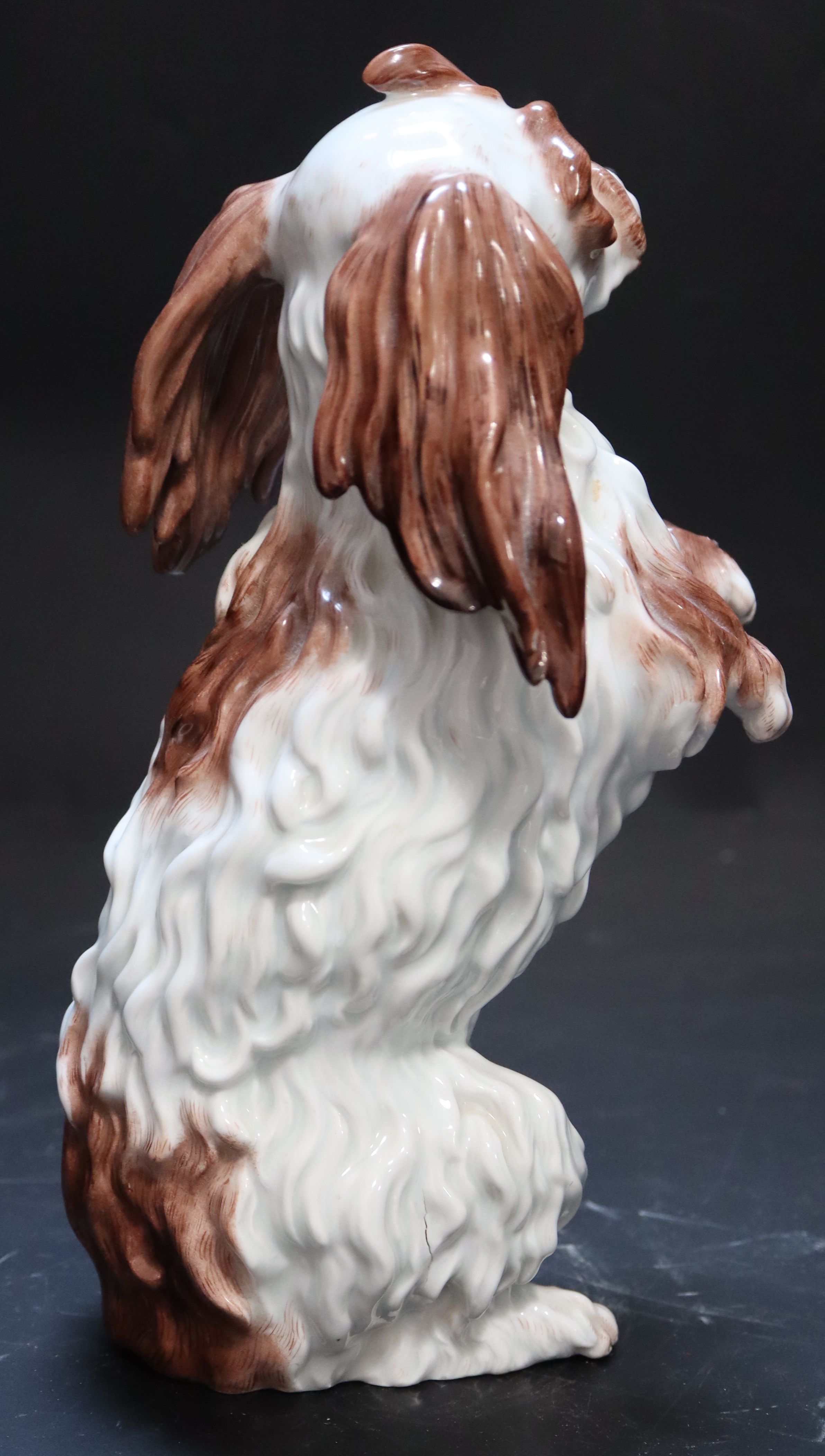 A Meissen model of a Bolognese Terrier, late 19th century, 25.25cm